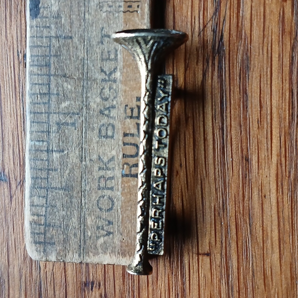 Gold Tone Pin / Brooch "Perhaps Today"